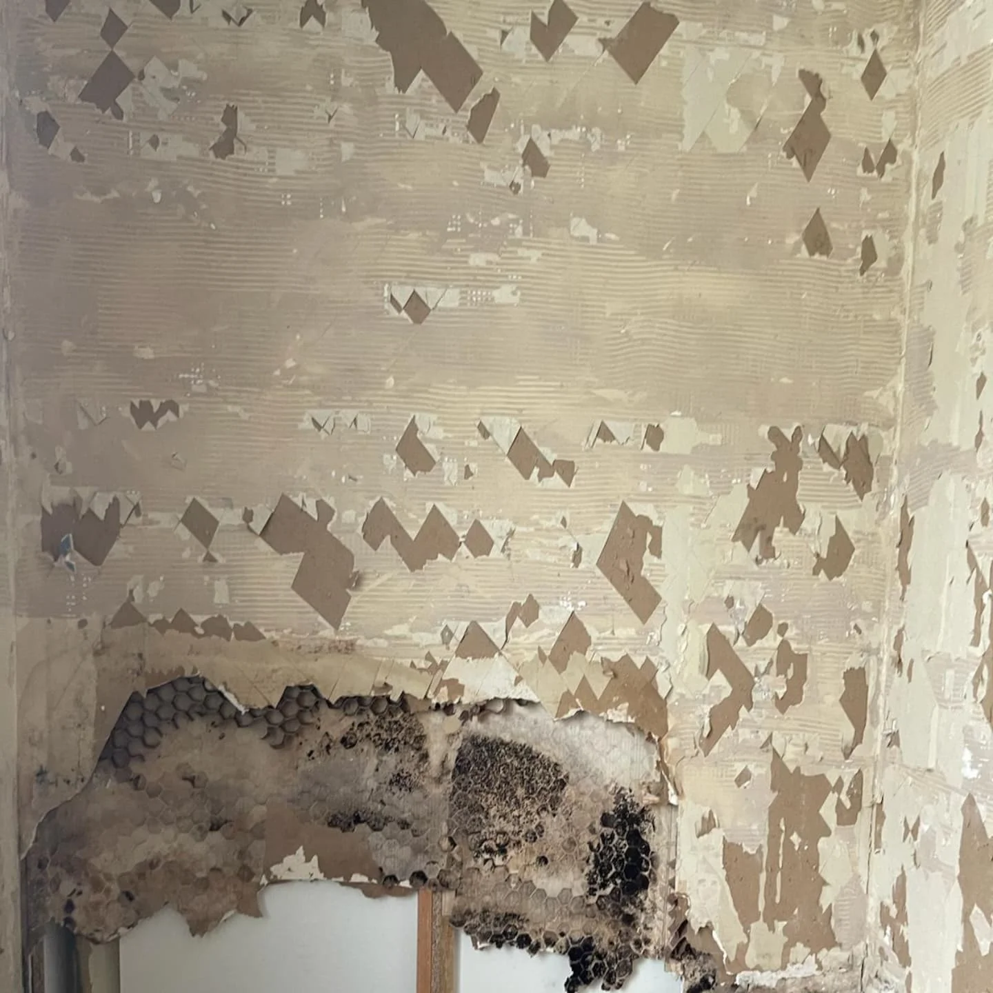 Sanitaires - Rénovation Salle de bain réalisé par L'Empreinte du Bâtiment